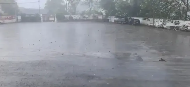 重庆终于下雨了 久旱甘霖缓高温，局地雷雨伴大风