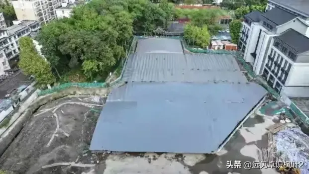 浙江一学校扩建挖出两千年前的马 历史的惊喜发现