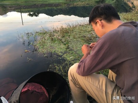 拿捏中年男人，浙商大佬三年入袋20亿 钓鱼市场掘金记