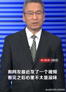 白岩松谈公园长椅被焊钢管 治标不治本引发热议