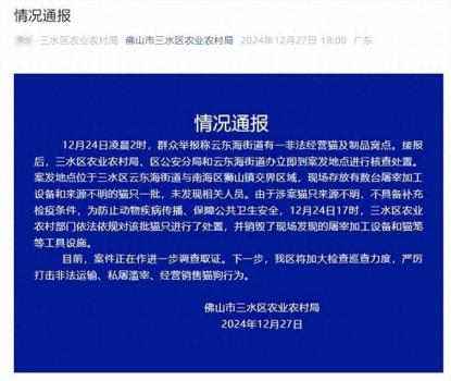 佛山近百只猫在水塘中被溺死 官方通报处置进展