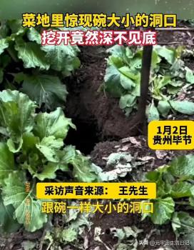 菜地现碗口大洞口深不见底 神秘现象引关注