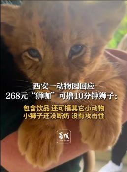 268元可擼獅子？西安一動物園推出套票 含多種動物互動體驗