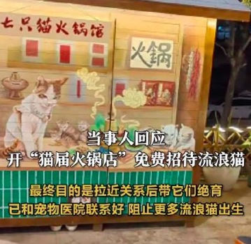 男子給流浪貓開了專屬火鍋店，關(guān)愛流浪貓絕育呵護(hù)舒適