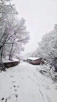 北京密云出现“树挂”美景 银装素裹分外美丽