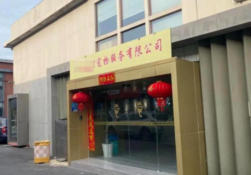上海打掉一售卖星期宠团伙 12人被判刑