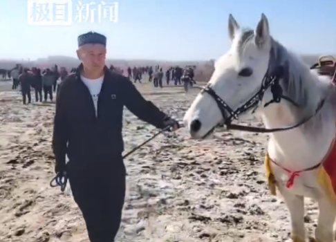 白龙马冲江救人后续：英雄白马的哥哥启程来湖北