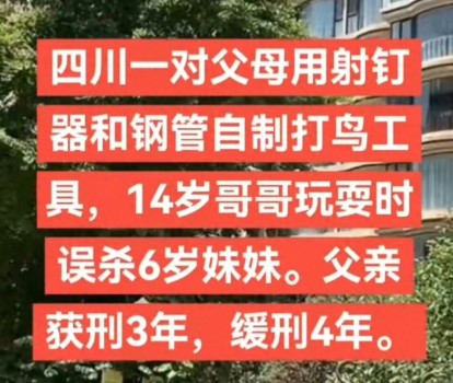 14岁儿子意外枪杀6岁女儿