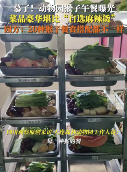 动物园豪华午餐堪比自选麻辣烫，水果蔬菜蛋类齐全！
