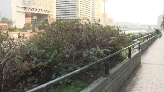 日本市区惊现数十块人体碎片 警方紧急调查中