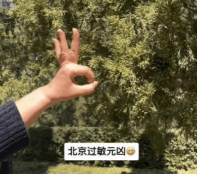 北京圆柏花粉可视化视频是真的吗 真实画面引发关注