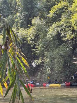 四川鹿溪河惊现捕鸟网阵 村民为防家禽设网