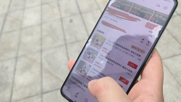 长沙多家宠物店被冒名顶替上团购 商家无奈吃哑巴亏