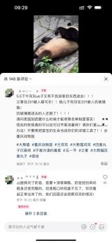 游客往大熊貓場館扔異物 園方回應(yīng)：大熊貓暫時沒有異常