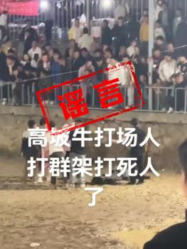 貴州一斗牛比賽現(xiàn)場發(fā)生沖突致人死亡,？部門辟謠：不屬實