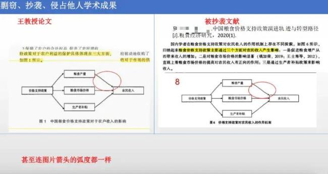 南京一高校副處長被舉報 學(xué)術(shù)不端引關(guān)注