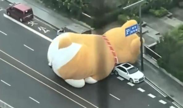 廣州一巨型充氣狗被吹上馬路