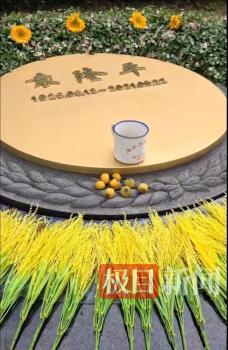 袁隆平逝世四周年 侄子獻(xiàn)枇杷祭奠