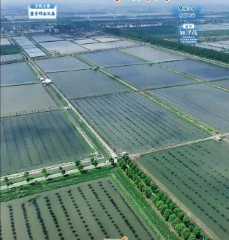 董宇辉在湖北潜江钓小龙虾 从钓到尝的全过程体验