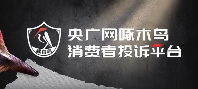 低價車險陷阱后續(xù) 假保單騙局曝光