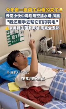 云南第一波吃菌子的已經(jīng)進醫(yī)院了 中毒致幻案例頻發(fā)