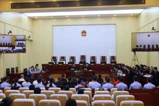 非法買賣25萬斤癩蛤蟆 20人獲刑 嚴懲破壞生態(tài)行為