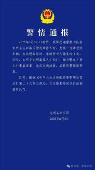 踹擊警車并跳上引擎蓋女子被行拘 因違章逆停滋事
