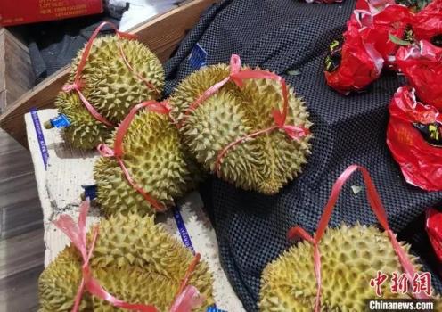 “貴族水果”為啥集體降價 規(guī)?；N植與供應(yīng)鏈革新驅(qū)動