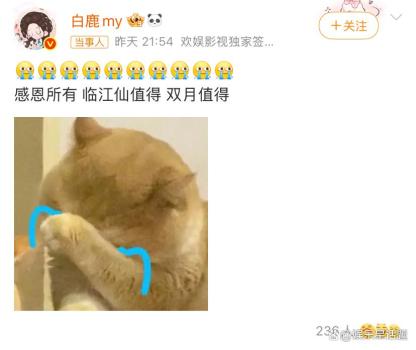 《临江仙》破万！奇迹的诞生，白鹿三剧连爆