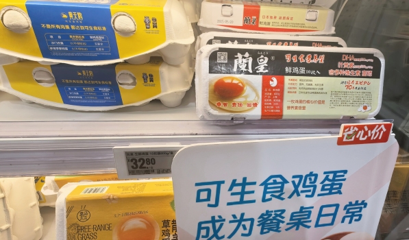 可生食雞蛋客服都不建議生吃 專家提醒食用風險