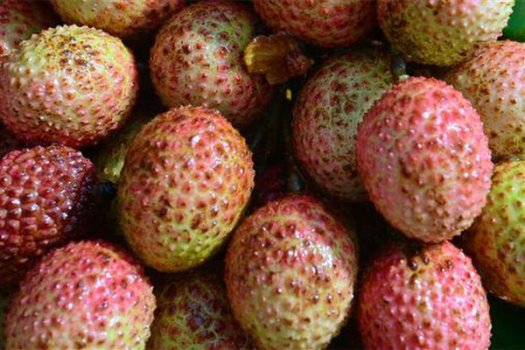 过量食用荔枝或引发荔枝病 需适量食用
