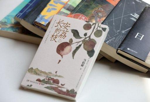 《长安的荔枝》结局观众评价两极分化 改编争议不断