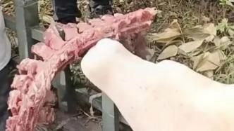 自貢教體局回應(yīng)食堂發(fā)臭排骨 食材已送檢待結(jié)果