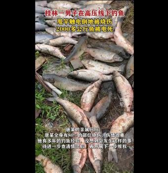 男子在高壓線下釣魚觸電倒地被燒傷 80%燒傷危急