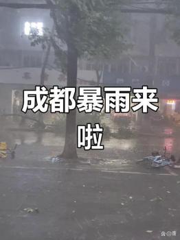 成都高架行船 暴雨中的城市航海模式