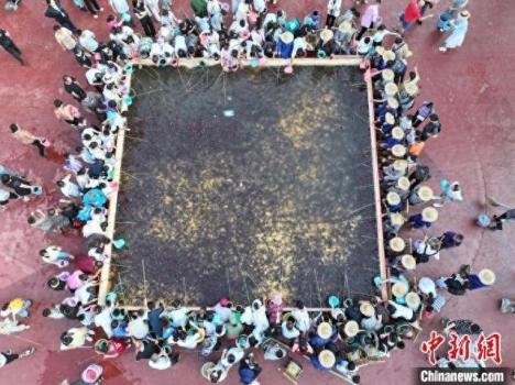 景區(qū)投放1噸龍蝦助攻游客垂釣 共享美味盛宴