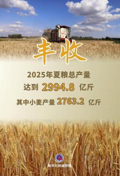 今年全國夏糧實現(xiàn)穩(wěn)產(chǎn)豐收 奠定全年糧食生產(chǎn)基礎