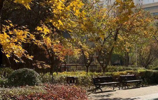 雨雪今晚抵达辽宁 冷空气带来降温与大风