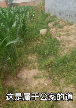 凶手杀一家五口后家属拉黑被害家属