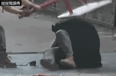 杭州动物园一黑熊扑倒饲养员 争抢食物未受伤