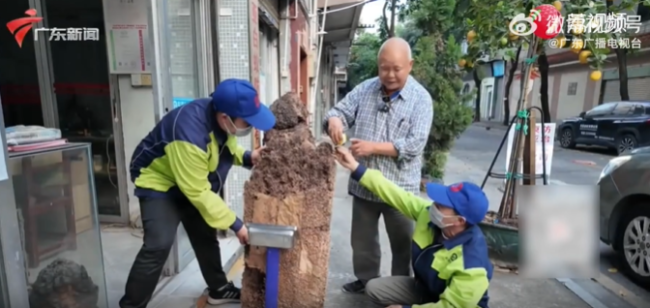 居民家中挖出半人高蟻巢，80萬(wàn)只白蟻潛伏多年啃蝕民宅