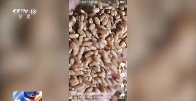 新型"購(gòu)糧洗錢(qián)"騙局曝光 騙子利用秋收心理設(shè)局