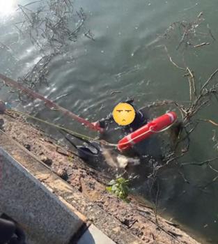 女子為救愛犬跳入湖中 市民與巡檢員合力救援