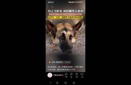 3男子因嘴饞偷走近萬元德牧宰殺 警方迅速破案