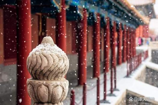 被北京雪地里的祝福戳到了 故宮雪景成冬日頂流