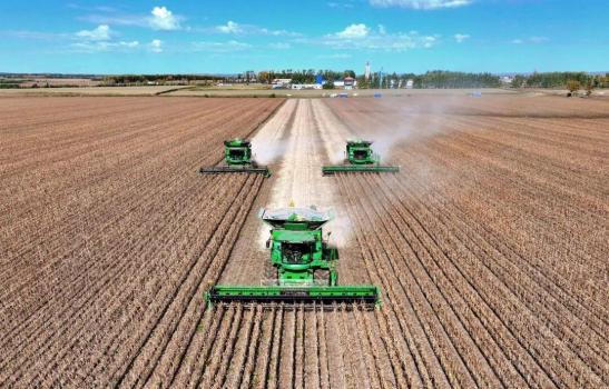 端牢中國(guó)飯碗有信心有底氣 糧食連年高位增產(chǎn)