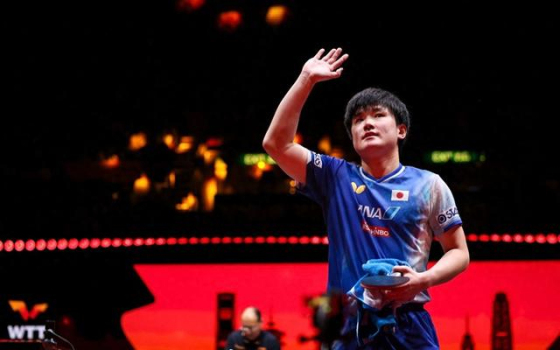 張本智和贏了再次致敬樊振東 模仿偶像慶祝動作引關(guān)注