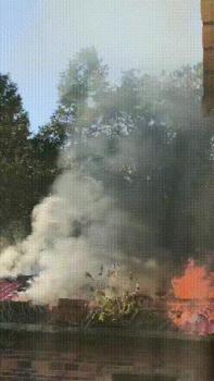 11岁的她救了一个村 冷静报警防大火