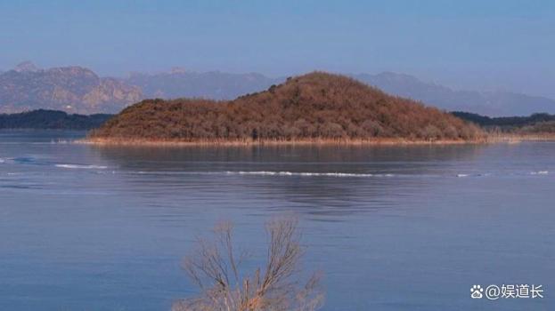 北京密云发现新物种，萌鸟为何唤作“小老虎”？我国最小鸟类之一是肉食动物 密云水库惊现“小红帽”