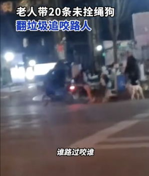 老人遛20条狗不拴绳放任追咬路人 大叔怒怼提醒者！